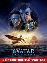 Avatar: The Way of Water  Original  (2022) HDRip [Telugu + Tamil + Hindi + Malayalam + Kannada + Eng]  Movie Watch Online Free
