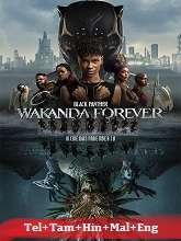 Black Panther: Wakanda Forever (2022) BluRay [Telugu + Tamil + Hindi + Malayalam + Eng] Movie Watch Online Free